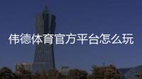 伟德体育官方平台怎么玩？新手注册、充值、安全与玩法全攻略