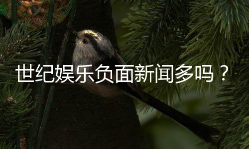 世纪娱乐负面新闻多吗？深度解析其真实情况与玩家评价