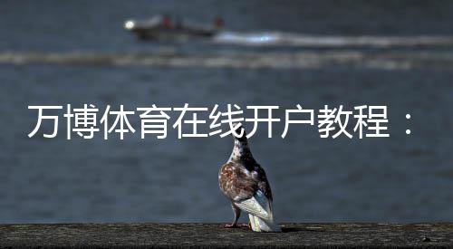 万博体育在线开户教程：新手注册步骤、身份验证与安全注意事项一看就懂