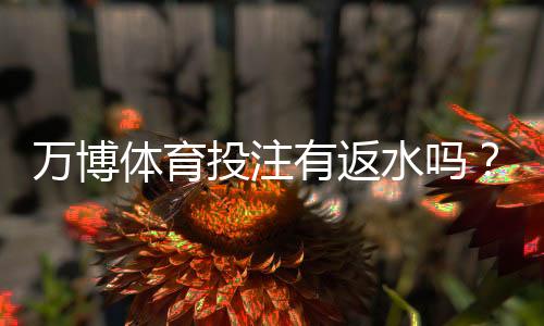 万博体育投注有返水吗？返水规则、计算方式与领取攻略全解析