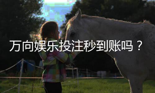 万向娱乐投注秒到账吗?实测到账速度与平台优势解析