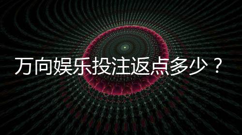 万向娱乐投注返点多少？揭秘高返点福利与实战技巧