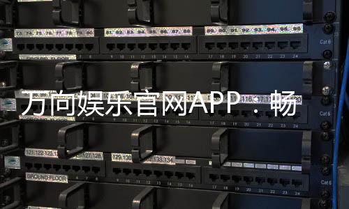 万向娱乐官网APP:畅享顶级棋牌电游的尊贵体验