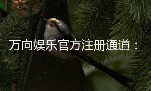 万向娱乐官方注册通道:快速开户与游戏体验全攻略