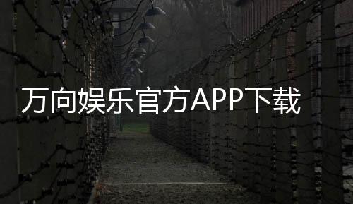 万向娱乐官方APP下载：畅享顶级棋牌电游的必备神器