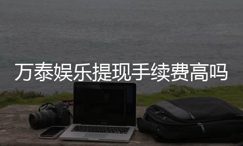 万泰娱乐提现手续费高吗?资深玩家解析费用详情与应对技巧