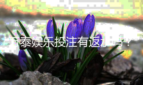 万泰娱乐投注有返水吗?揭秘平台返水福利与玩法攻略