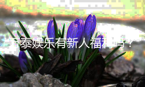 万泰娱乐有新人福利吗？独家揭秘首存优惠与新手礼包