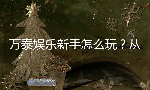 万泰娱乐新手怎么玩?从注册到实战的完整入门指南