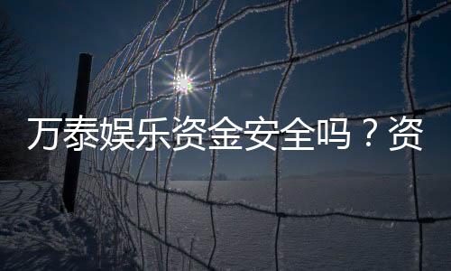 万泰娱乐资金安全吗?资深玩家解析平台资金保障措施