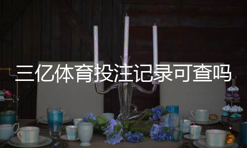 三亿体育投注记录可查吗?官方与第三方查询方法及隐私法律风险解析