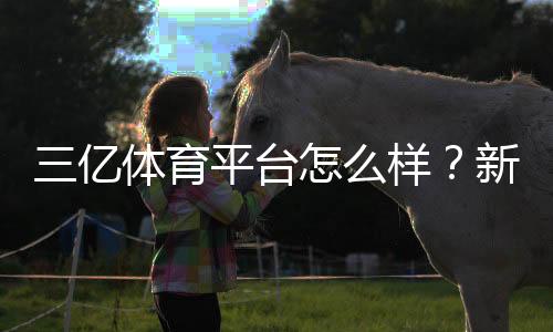 三亿体育平台怎么样?新手注册、充值、玩法与安全性全面评测