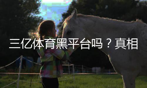三亿体育黑平台吗?真相揭秘与用户评价、风险辨别全攻略
