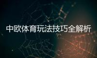 中欧体育玩法技巧全解析：新手入门、投注技巧与实战策略