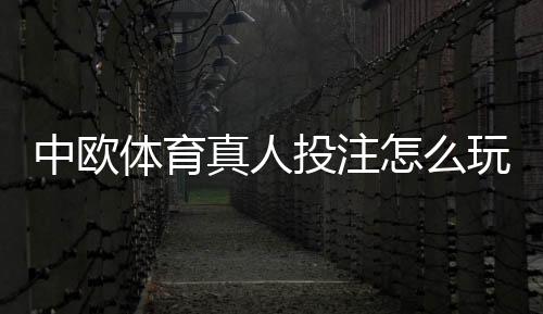 中欧体育真人投注怎么玩？新手入门、玩法解析与实战技巧全指南