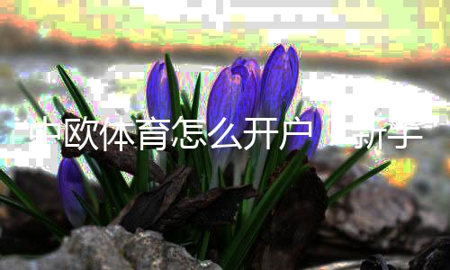 中欧体育怎么开户?新手开户流程、实名认证与注意事项详解