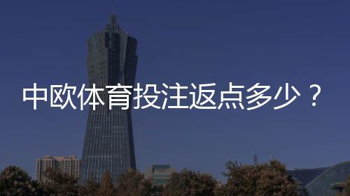中欧体育投注返点多少?最新返点比例、计算方法与提高收益技巧