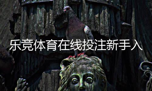 乐竞体育在线投注新手入门：玩法规则、充值提款与安全注意事项大全