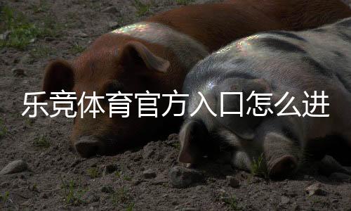 乐竞体育官方入口怎么进?最新官网访问、注册与安全登录全攻略