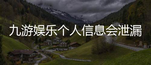 九游娱乐个人信息会泄漏吗？隐私风险揭秘与防护指南