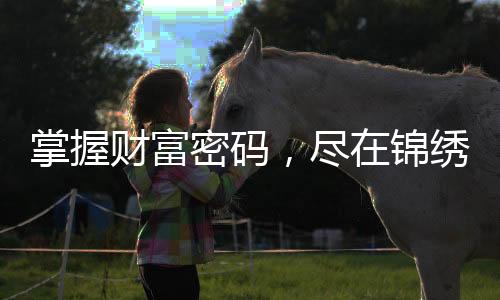 掌握财富密码,尽在锦绣国际