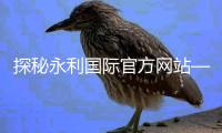 探秘永利国际官方网站——尽享奢华体验