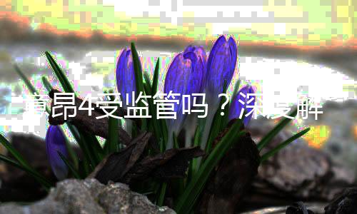 意昂4受监管吗？深度解析其合规性与玩家保障措施