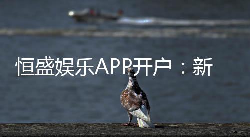 恒盛娱乐APP开户:新手注册指南与首存优惠详解