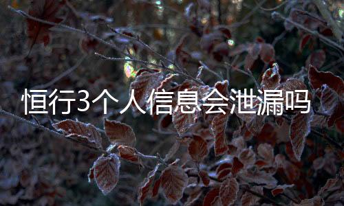 恒行3个人信息会泄漏吗?深度解析平台数据安全机制