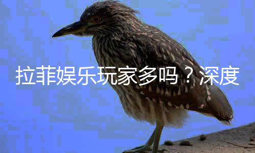 拉菲娱乐玩家多吗?深度解析平台人气与玩家真实体验
