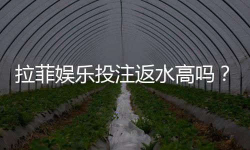 拉菲娱乐投注返水高吗？揭秘高返水福利与实战技巧