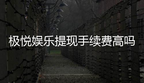 极悦娱乐提现手续费高吗？解析费用标准与优惠技巧