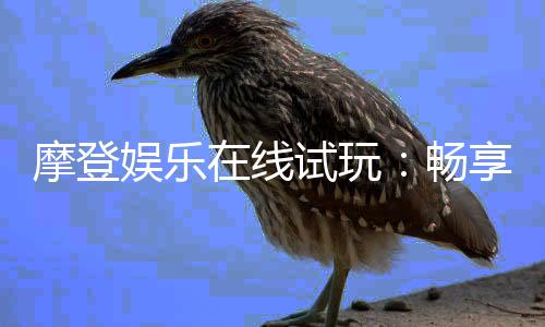 摩登娱乐在线试玩:畅享经典电子游艺体验豪华试玩盛宴