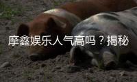 摩鑫娱乐人气高吗？揭秘其火爆原因与玩家真实评价
