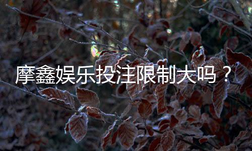 摩鑫娱乐投注限制大吗?深度解析平台规则与玩家体验