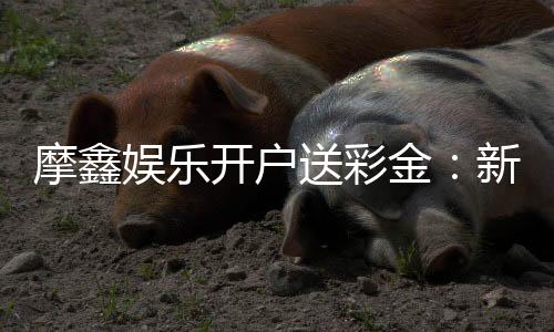 摩鑫娱乐开户送彩金：新会员专享彩金豪礼轻松开启赢利之旅