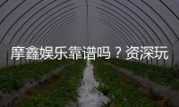 摩鑫娱乐靠谱吗？资深玩家亲测体验与安全分析