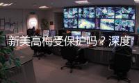 新美高梅受保护吗？深度解析其安全性与玩家保障措施
