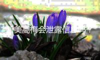 新美高梅会泄露信息吗？深度解析平台安全性与隐私保护措施