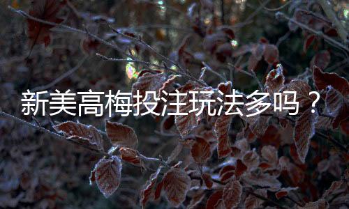 新美高梅投注玩法多吗？揭秘平台特色游戏与创新玩法