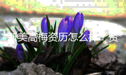 新美高梅资历怎么样?资深玩家带你揭秘其真实实力