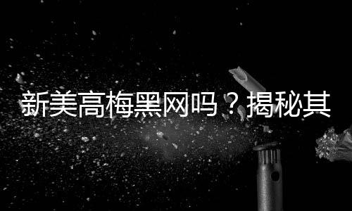 新美高梅黑网吗?揭秘其真伪与玩家安全指南