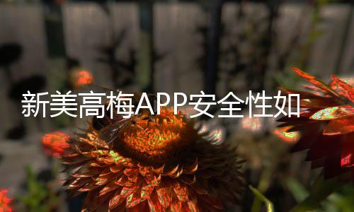 新美高梅APP安全性如何？深度解析其资金保障与数据防护