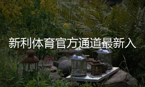 新利体育官方通道最新入口与登录方法：安全访问、常见问题与新手指南