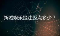 新城娱乐投注返点多少？揭秘高返水福利与实战技巧