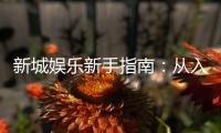 新城娱乐新手指南：从入门到精通的实战技巧