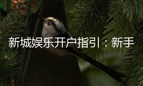新城娱乐开户指引:新手必看的快速注册与首存攻略