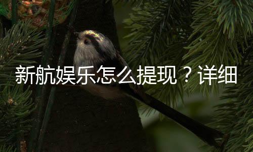 新航娱乐怎么提现?详细步骤与到账时间解析