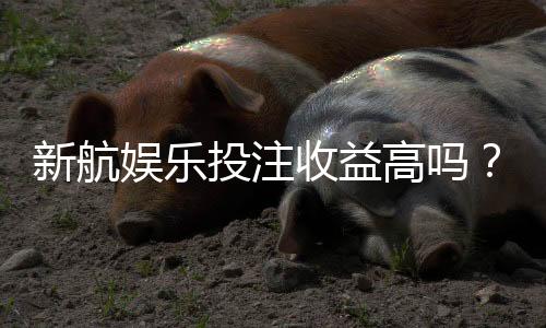 新航娱乐投注收益高吗?资深玩家揭秘真实盈利策略