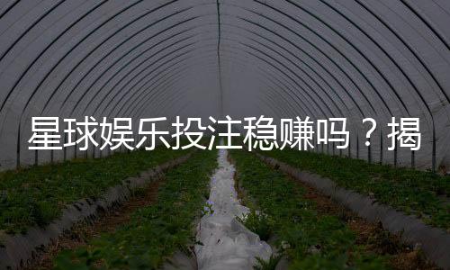 星球娱乐投注稳赚吗?揭秘平台优势与实战盈利技巧